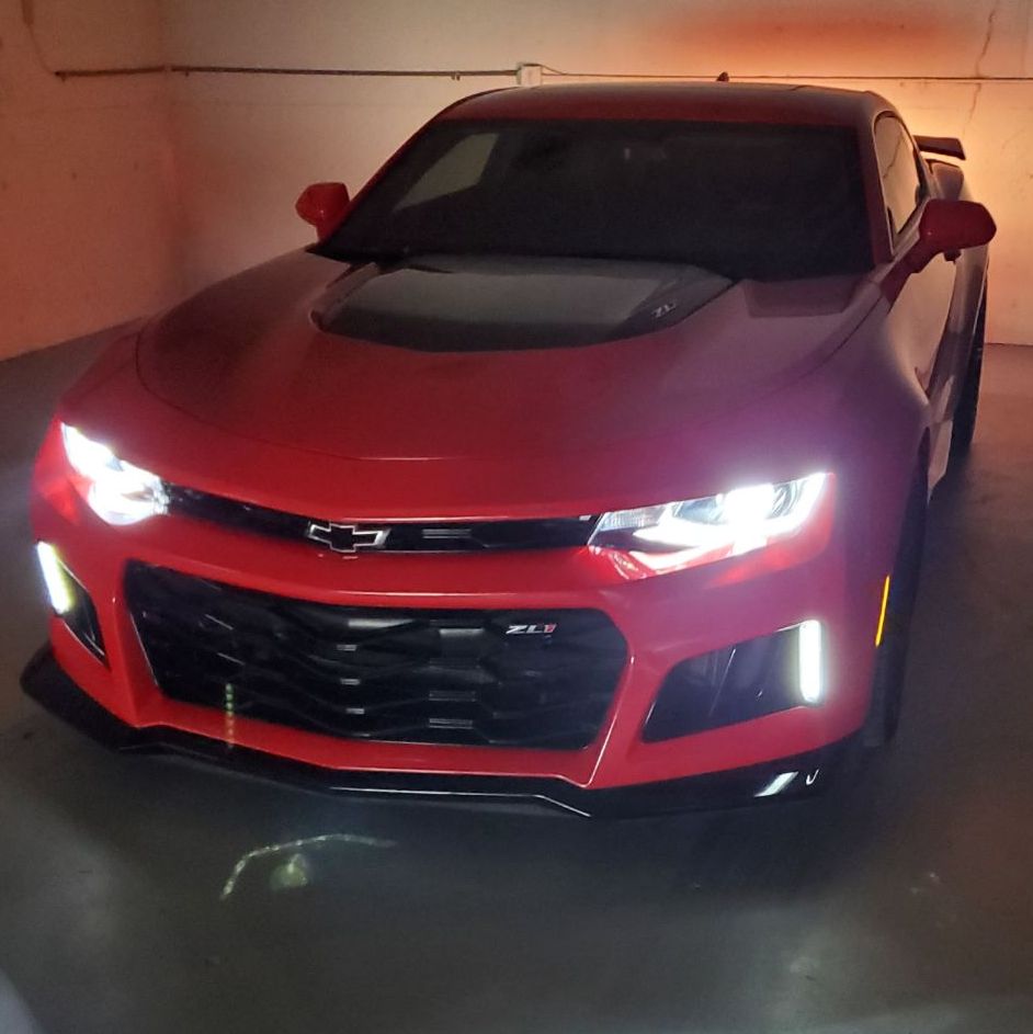 Profile of Alexander Nelson