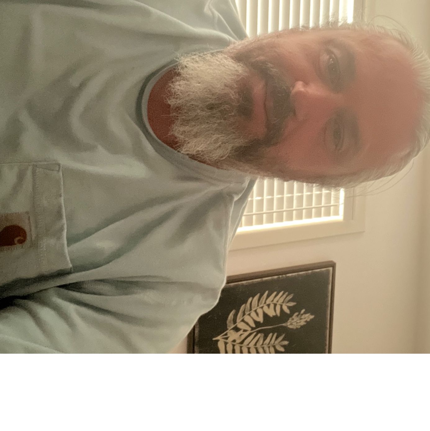 Profile of David Bell