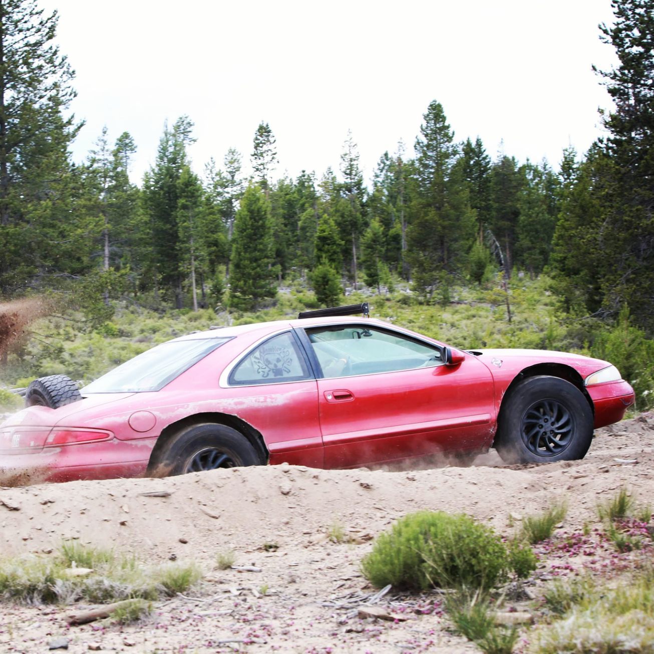 Profile of Justin Bucholz