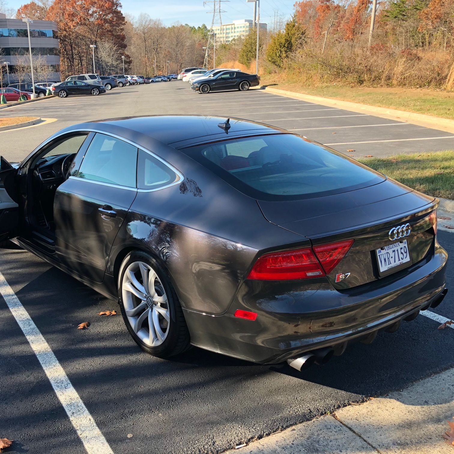 Profile of Ali Miamee