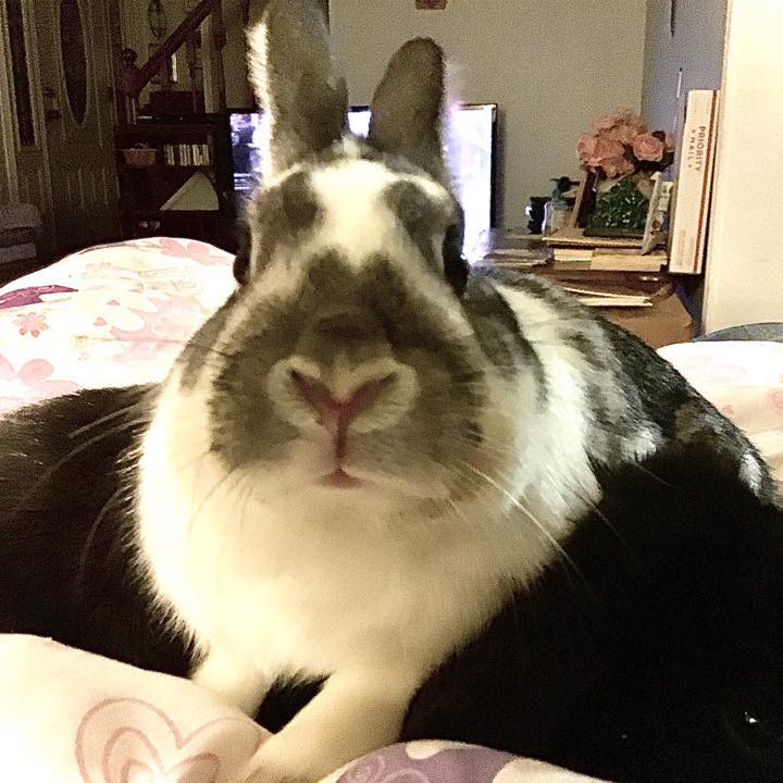 Profile of John Cuprisin