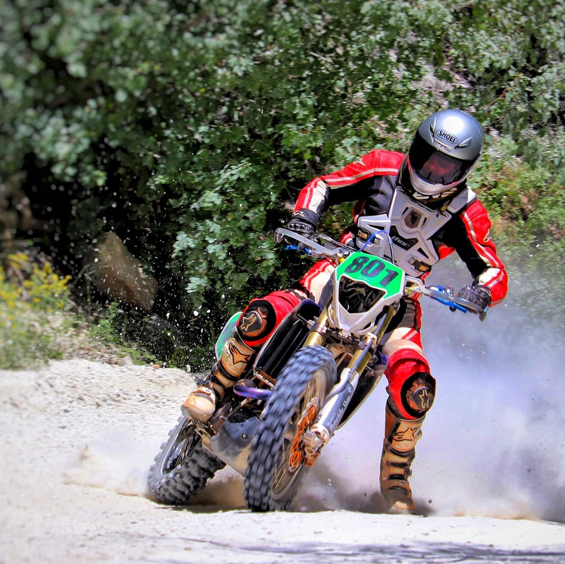 Profile of Dylan Baer