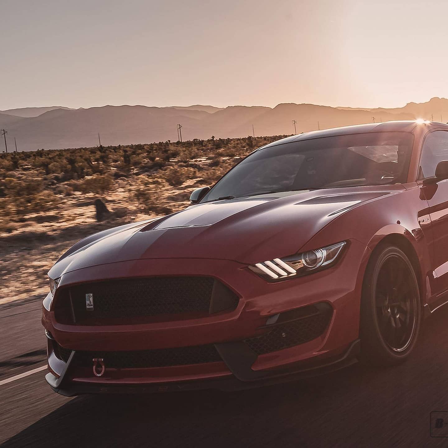 Profile of Alan Robinson