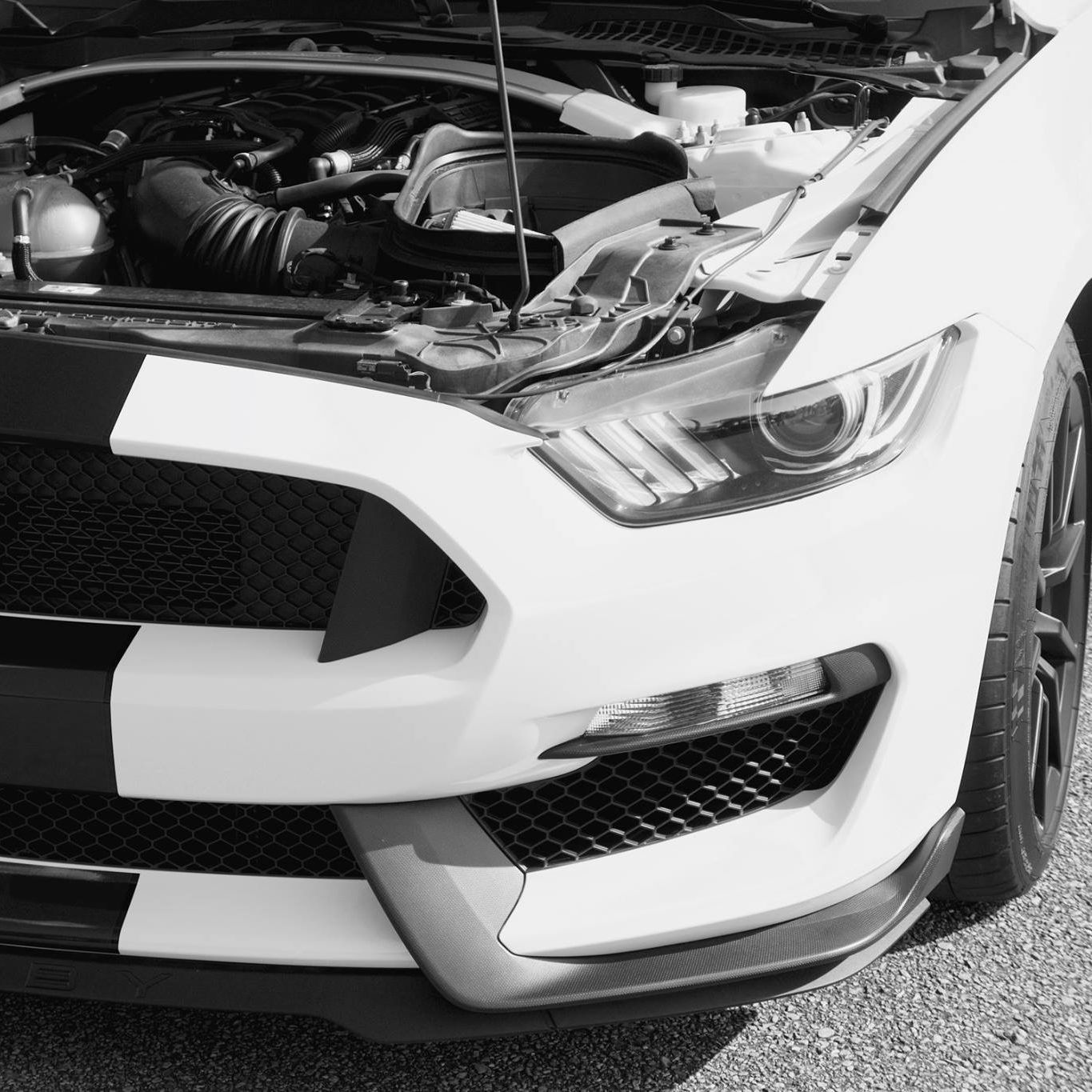 Profile of Steven Benjamin