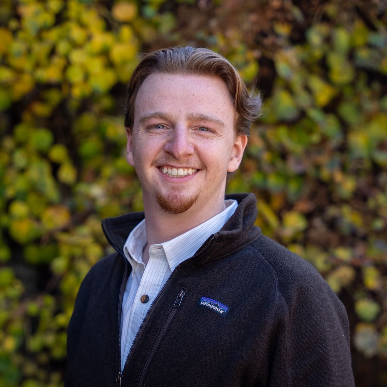 Profile of Aaron Powell