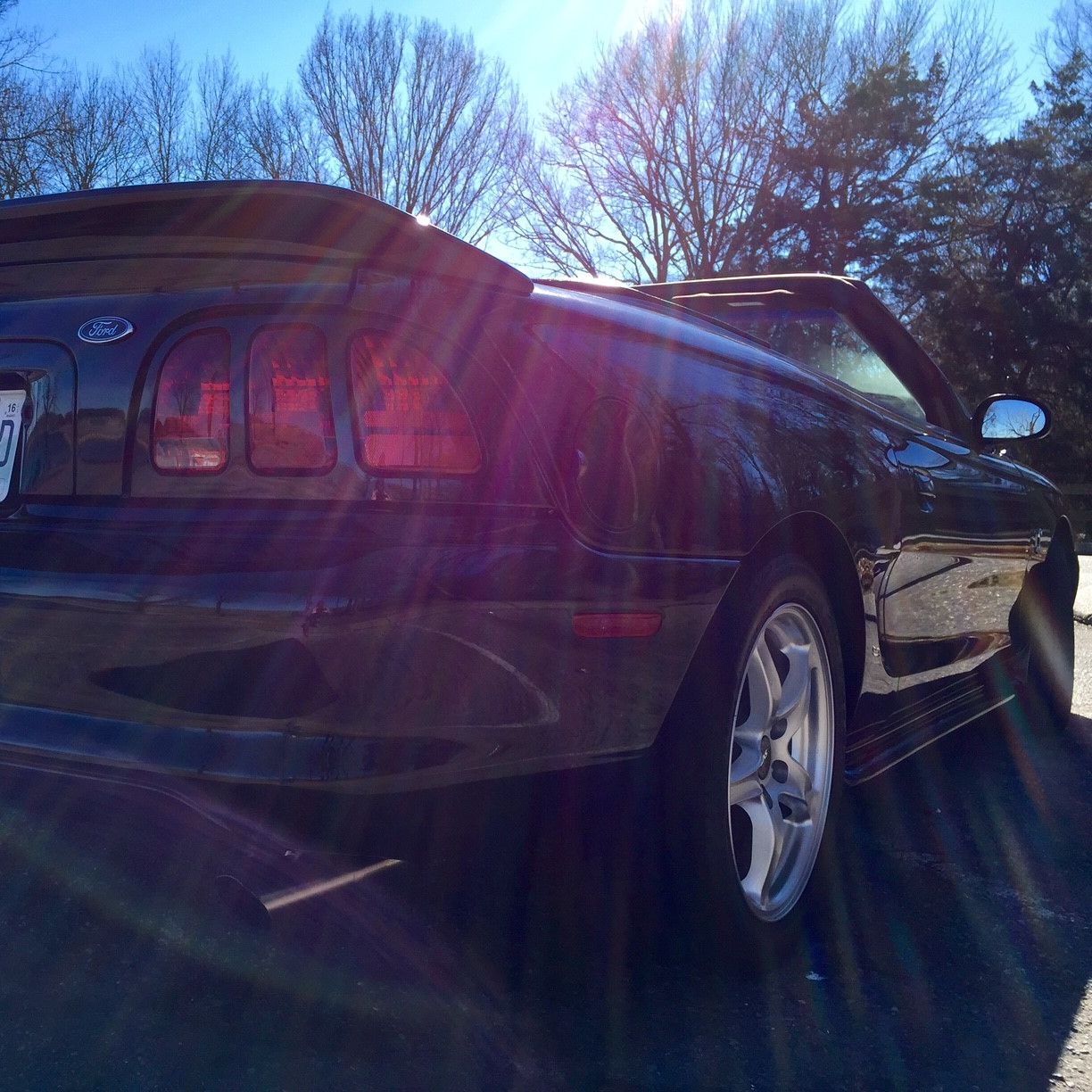 Profile of Ed Williams