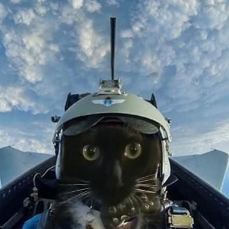 Profile of Kevin Fuerte