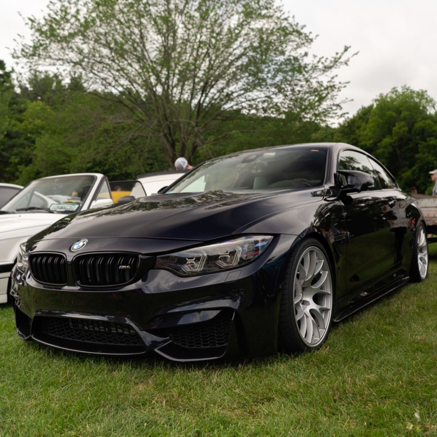 Profile of Wayne silva II