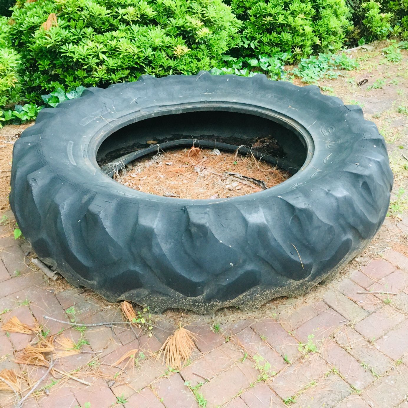 Profile of Richard Pan