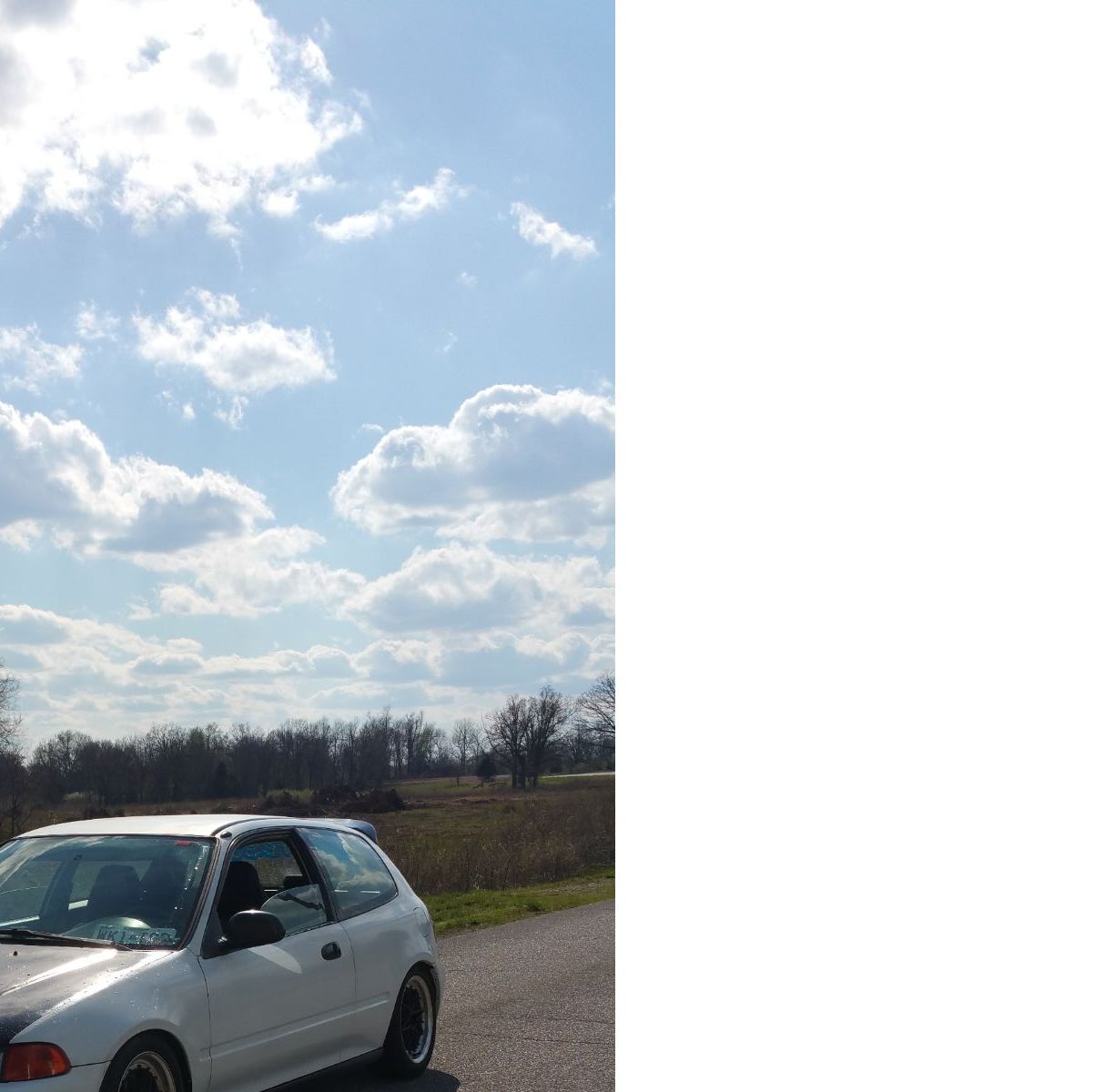 Profile of Stephen Markovich