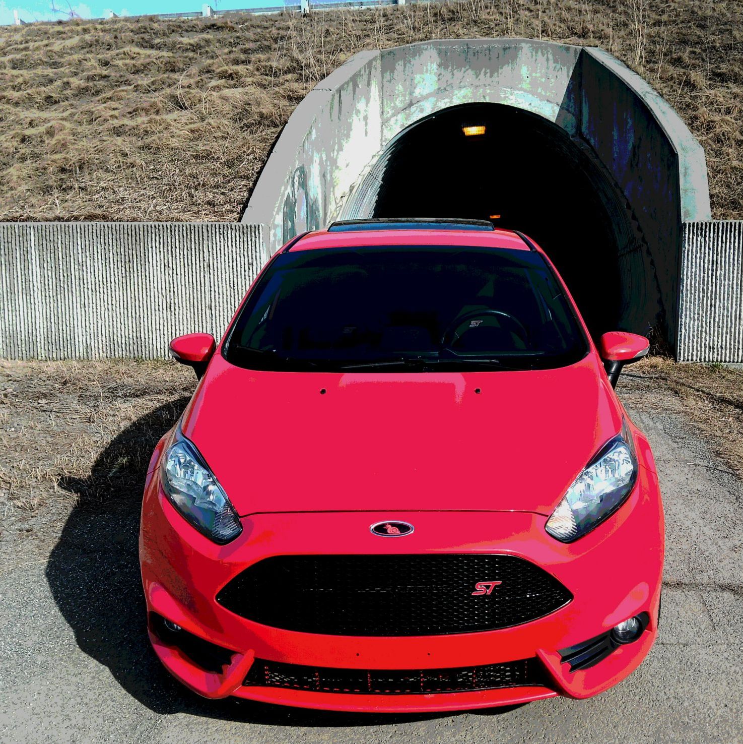 Profile of Alexander L