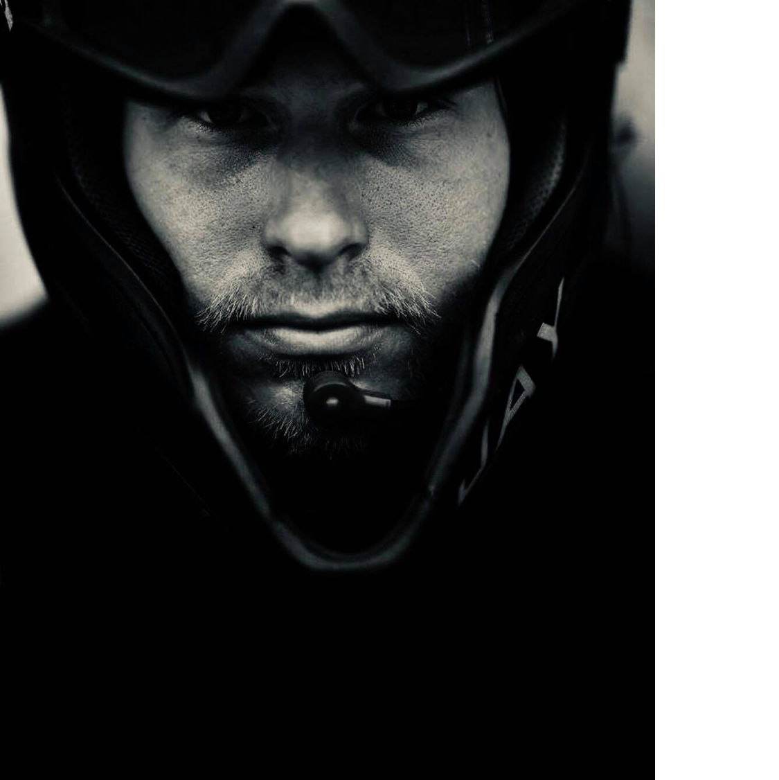 Profile of Jay Ribas