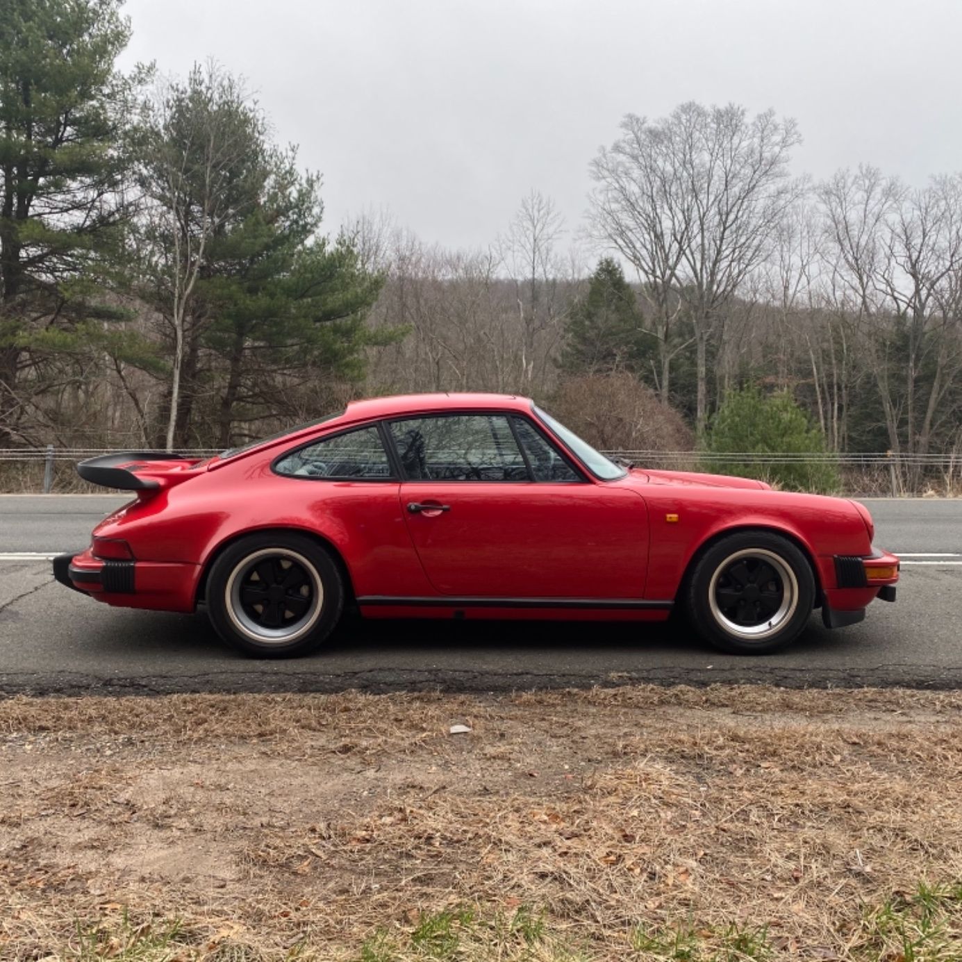 Profile of Andrew Halsted