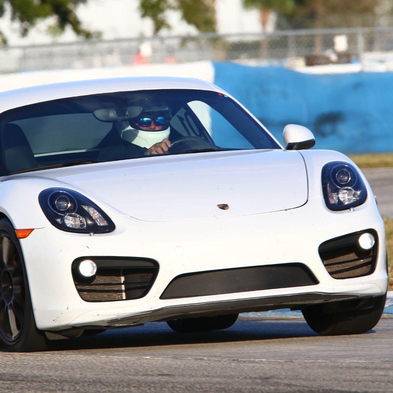 Profile of Gregg Ditzian