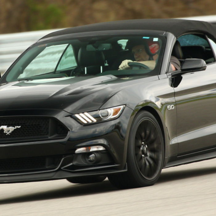 Profile of Bryan Bell