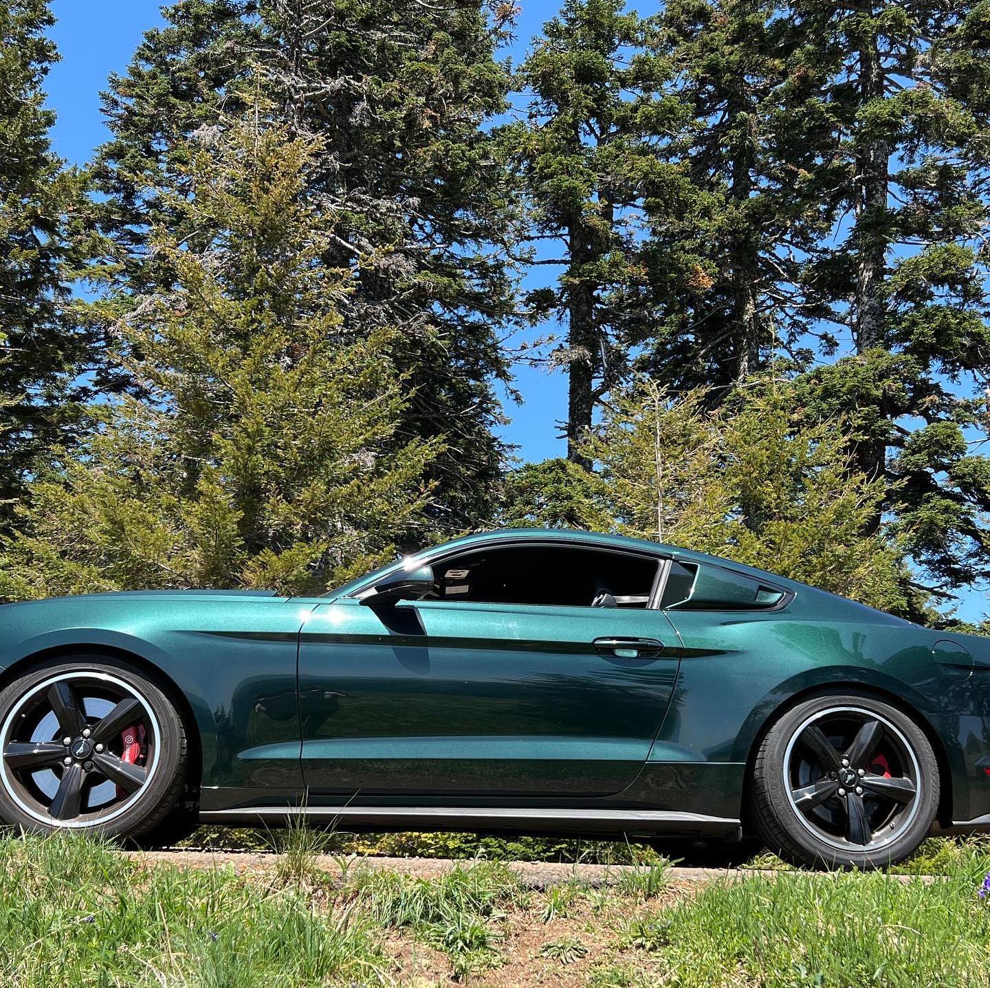 Profile of Tiffany Laviolette