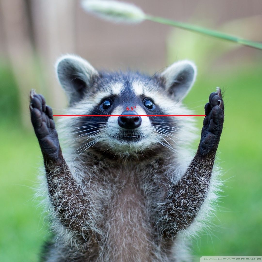 Profile of Ana-Kayla Gerardo