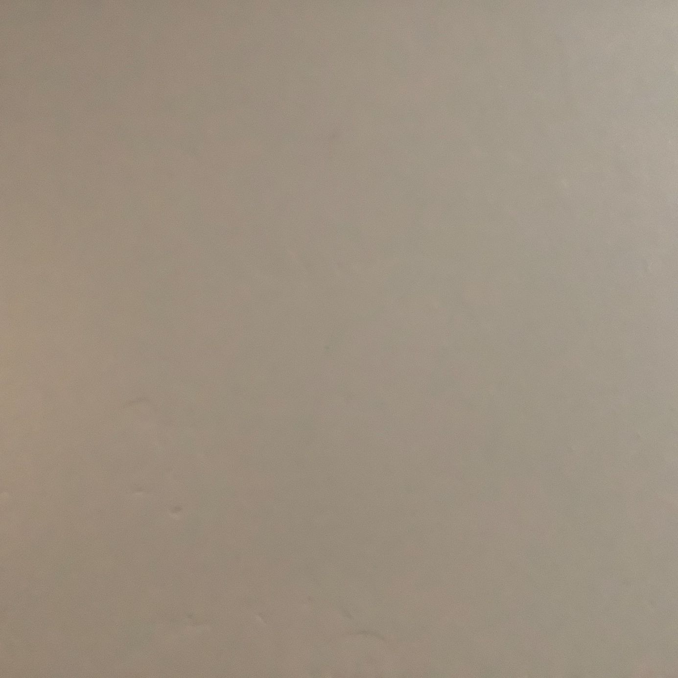 Profile of Bill Charamut