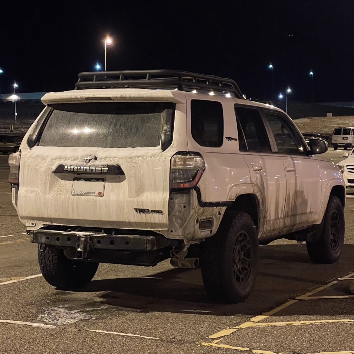 Profile of Michael Gamba