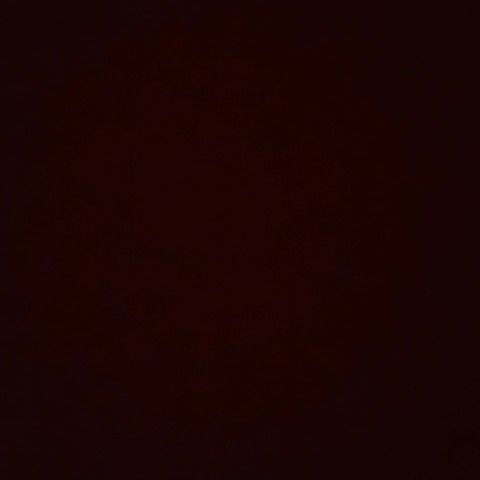 Profile of Ethan Bentinck-Smith