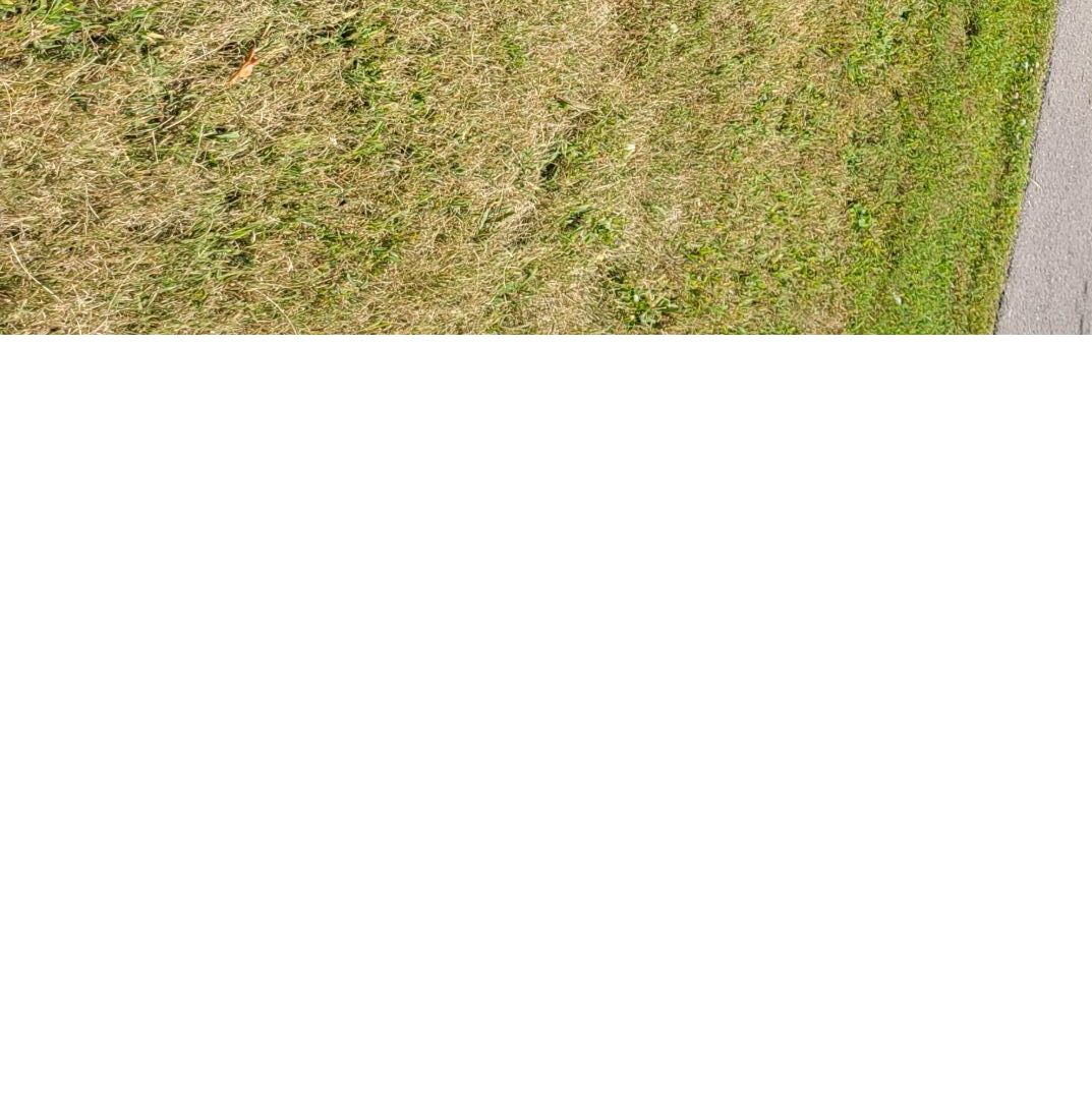 Profile of Dillon Legan