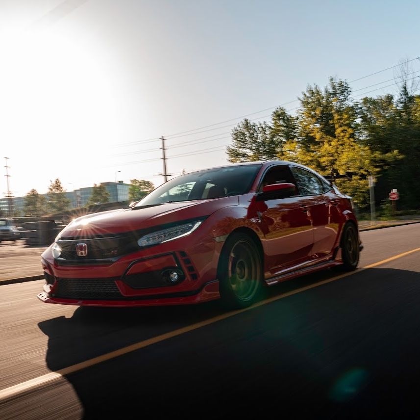 Profile of Hayley Panerio