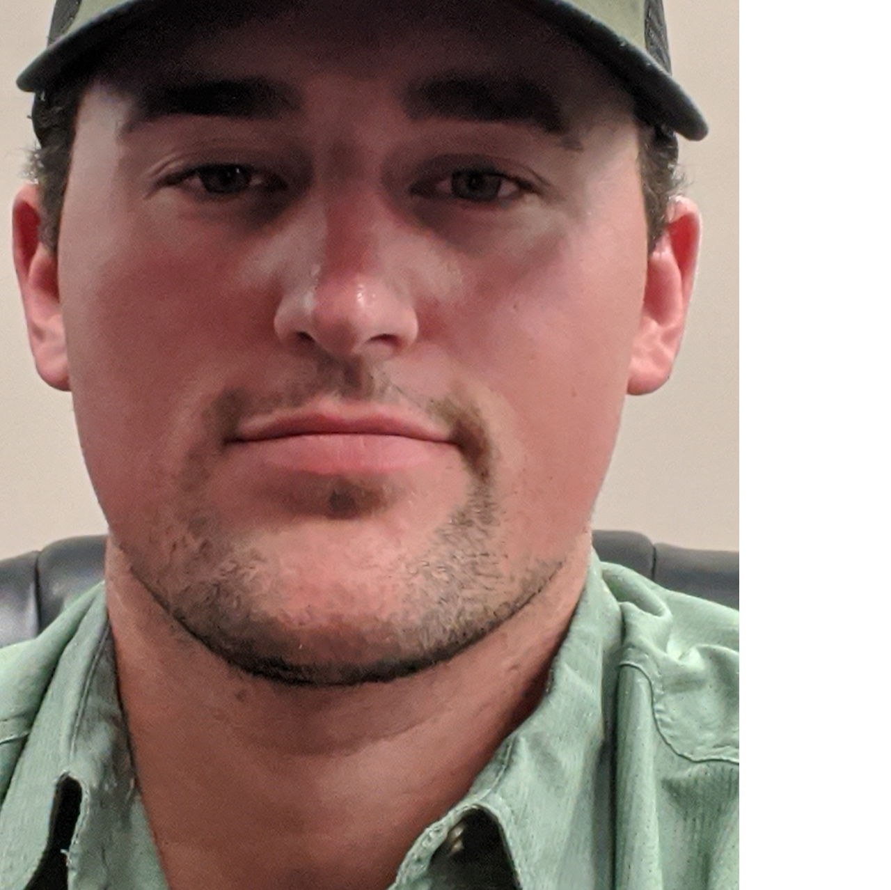 Profile of David Gripshover