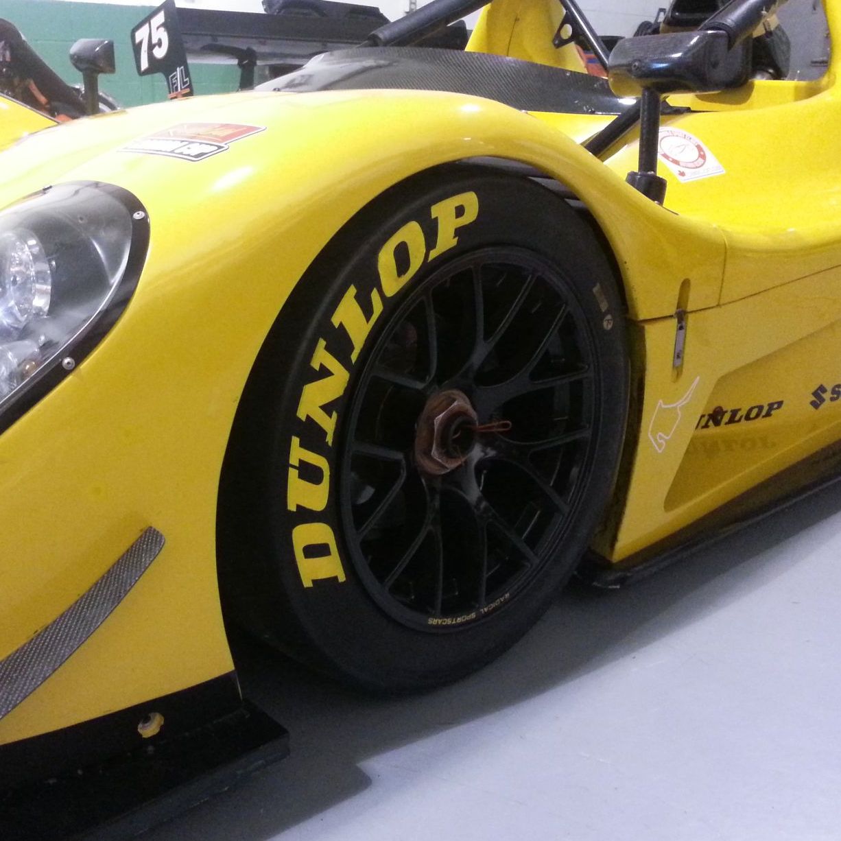 Profile of Ron Viggiani