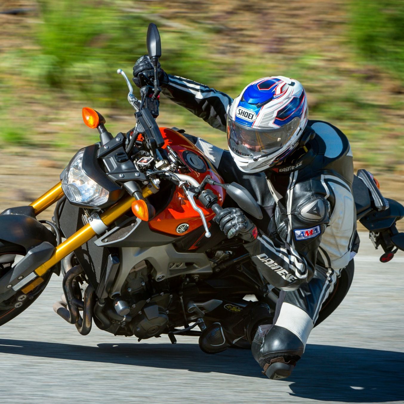 Profile of David Aguilar