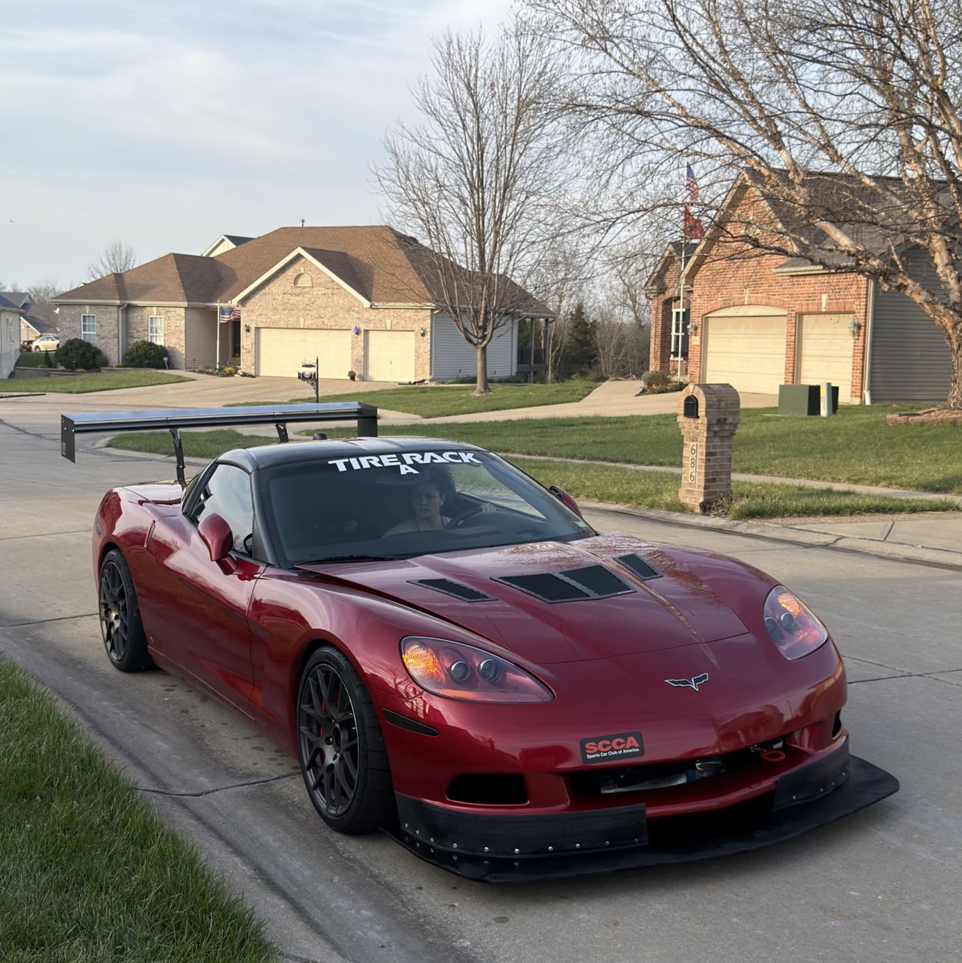 Profile of Shane Cifaldi