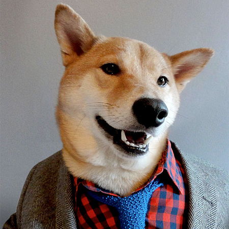 Profile of Christian Fergusson