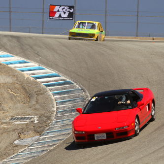 Profile of Neil Simpson