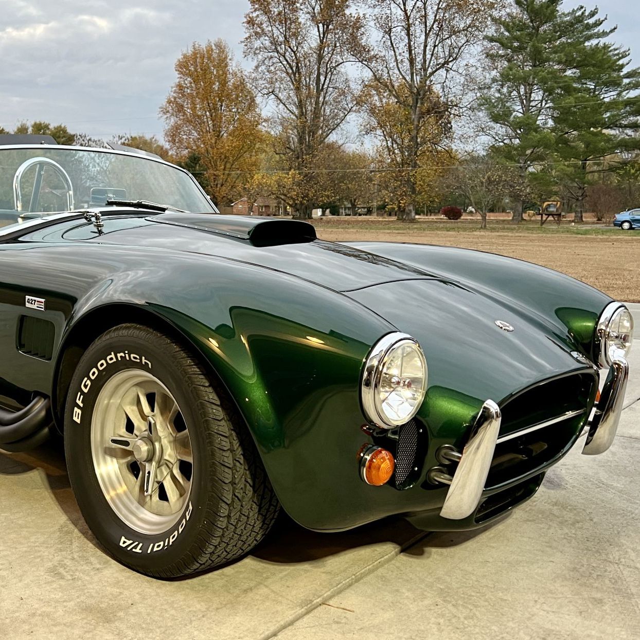 Profile of Todd Mercy