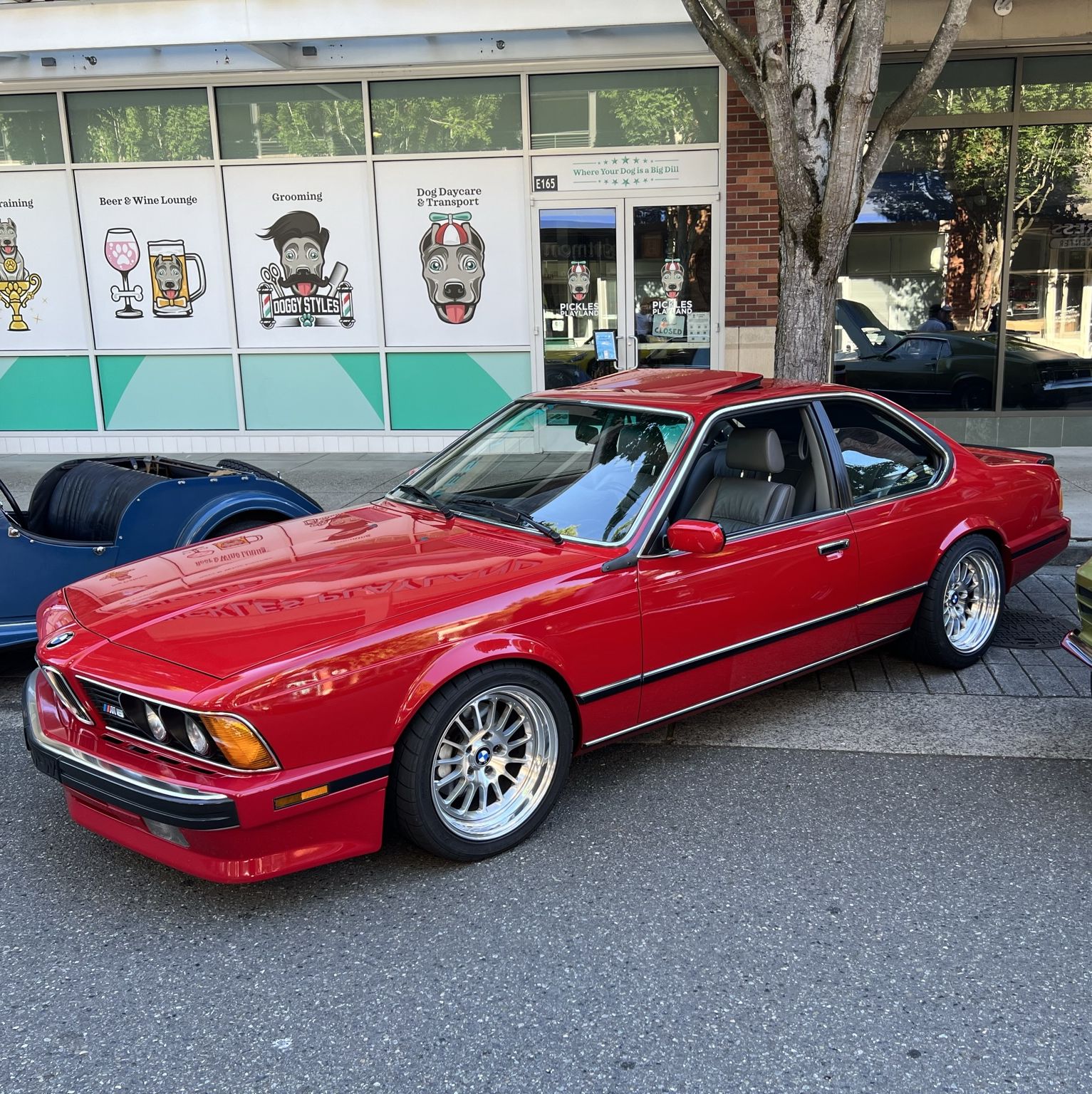 Profile of Luis E Robles