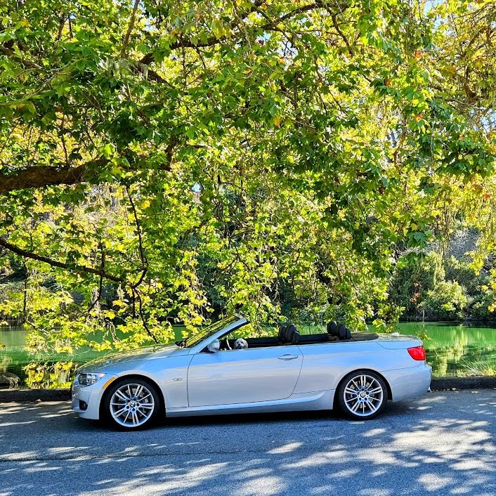 Profile of Michael Bolanos