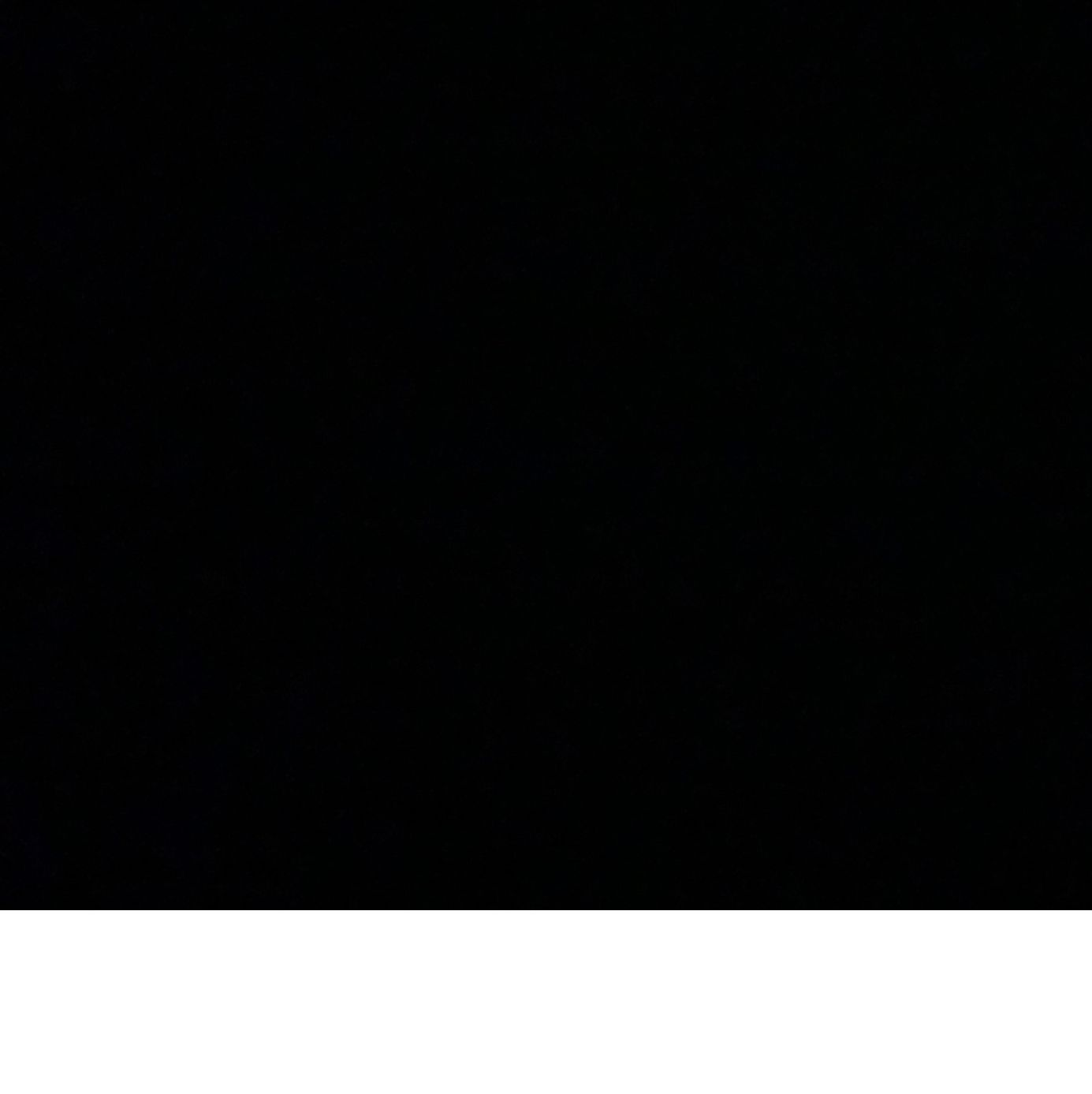 Profile of Joey Gibos