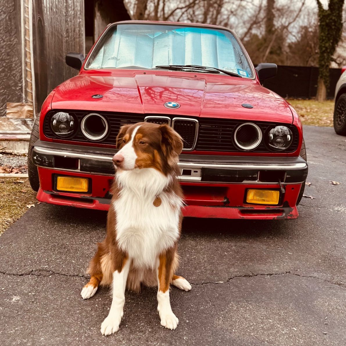 Profile of Vinny Moreno