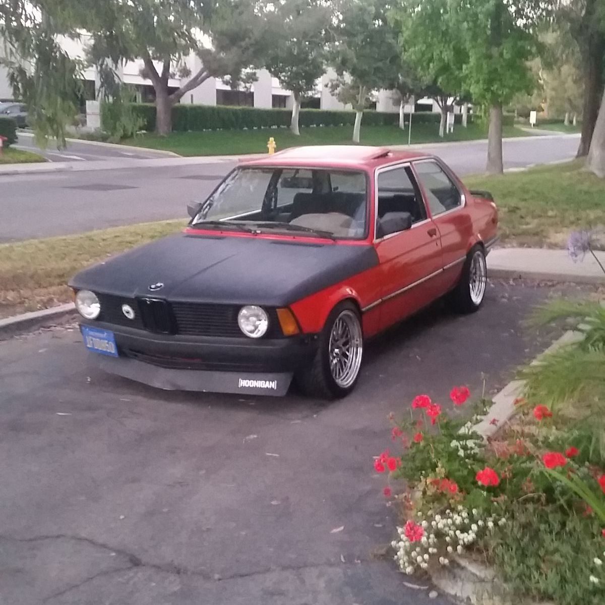 Profile of Matt Gomez