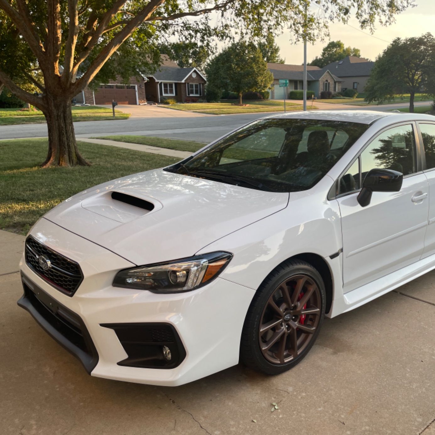 Profile of Rick Nicholson