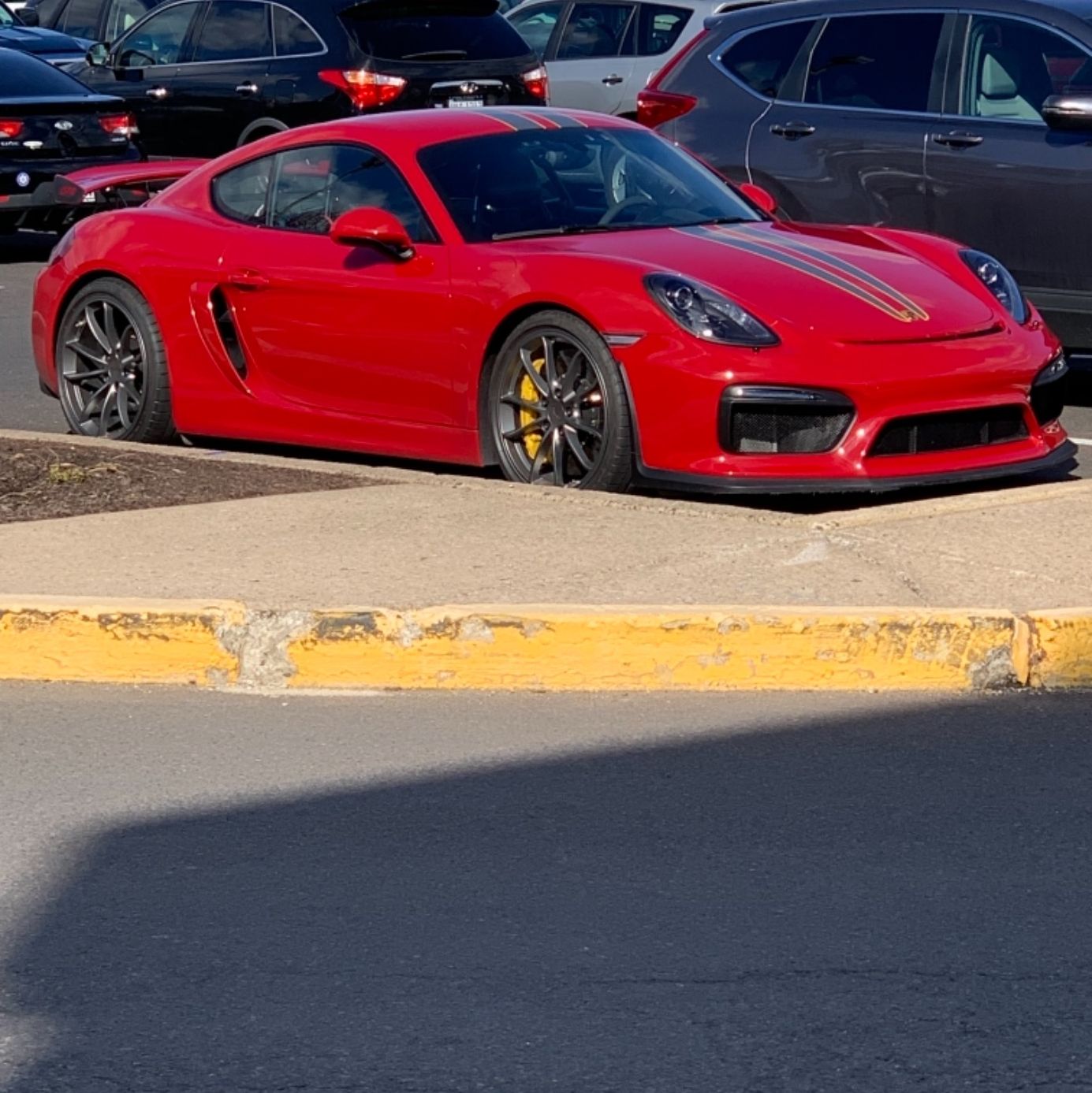 Profile of Stacy Byrd