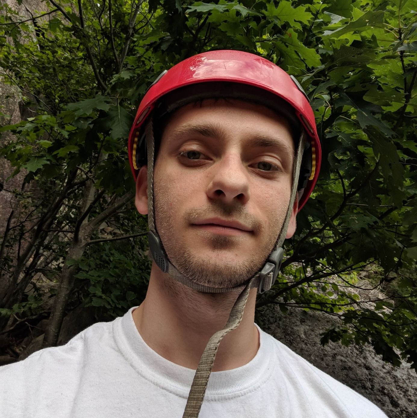 Profile of Quest Teichman