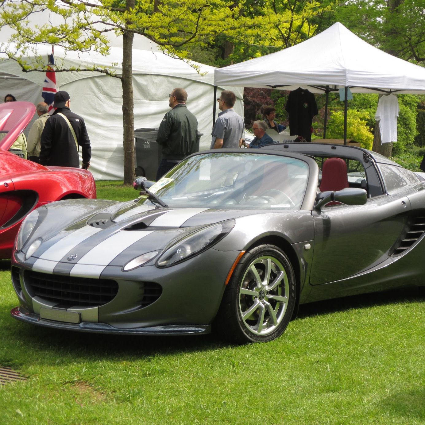 Profile of Nic Cross