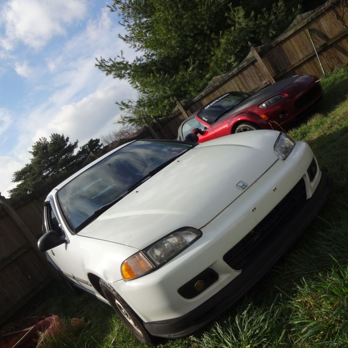 Profile of Timothy Martin