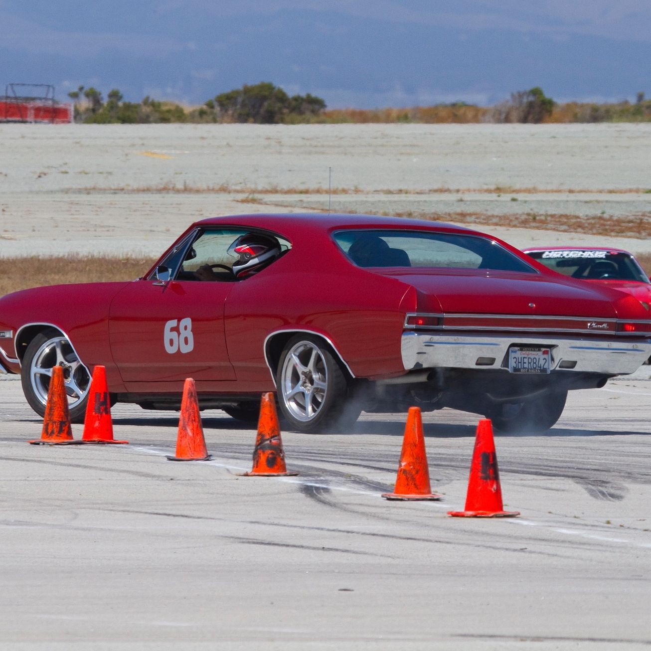 Profile of Steve Petro