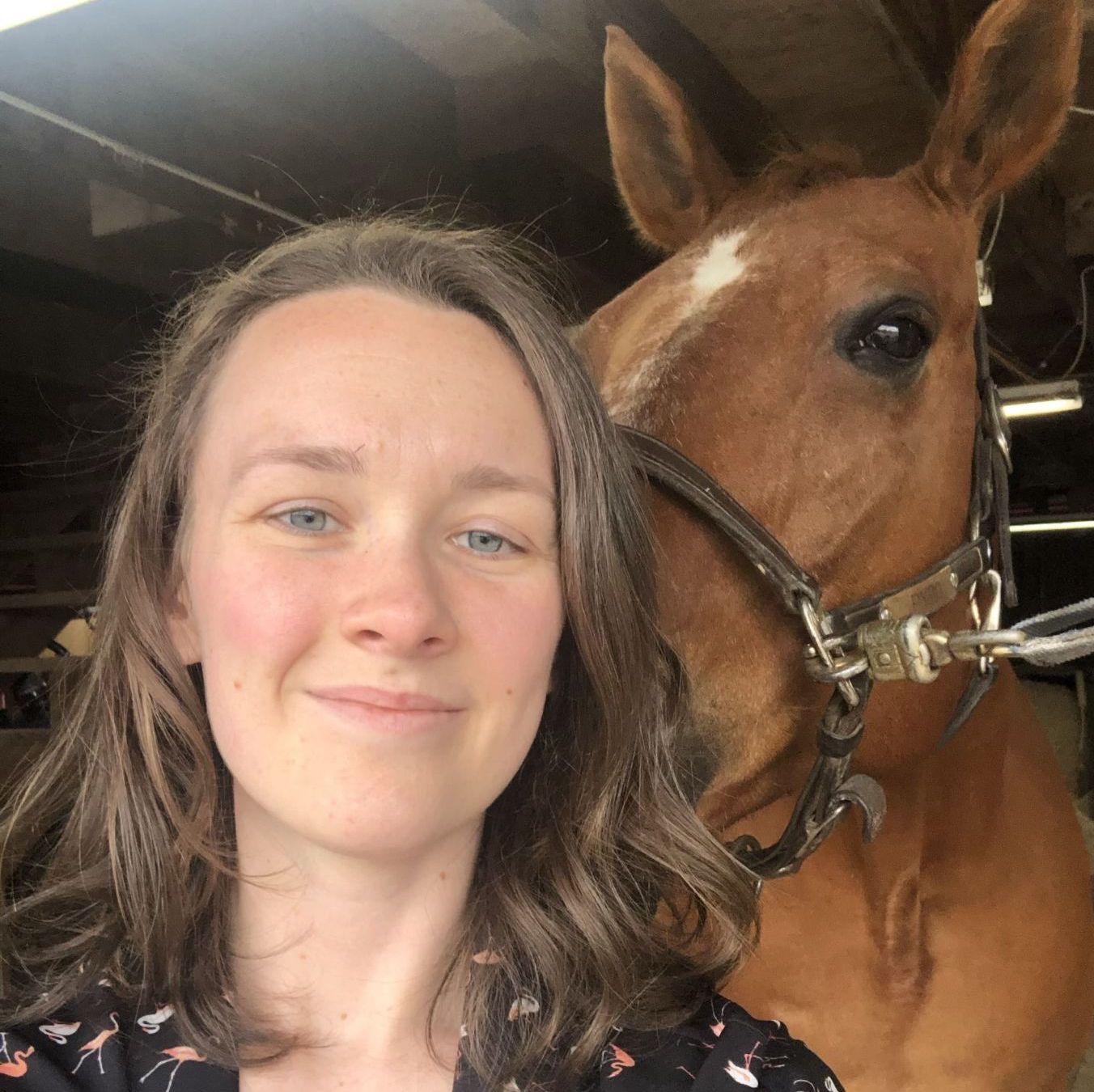 Profile of Amanda Gale