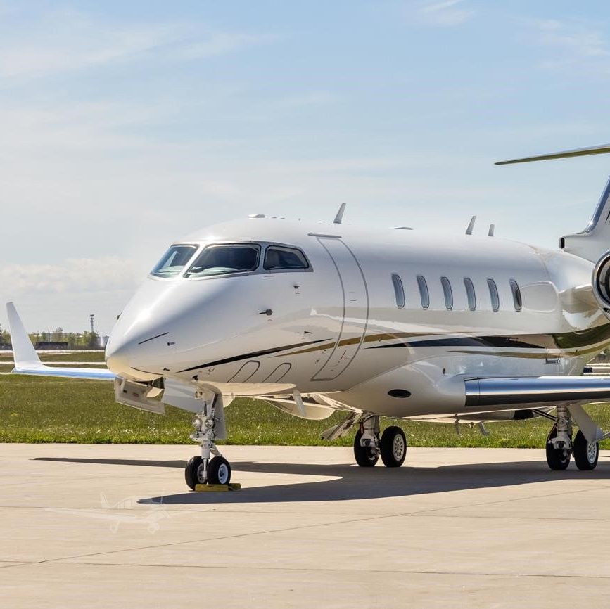 Profile of Andrew Hoang