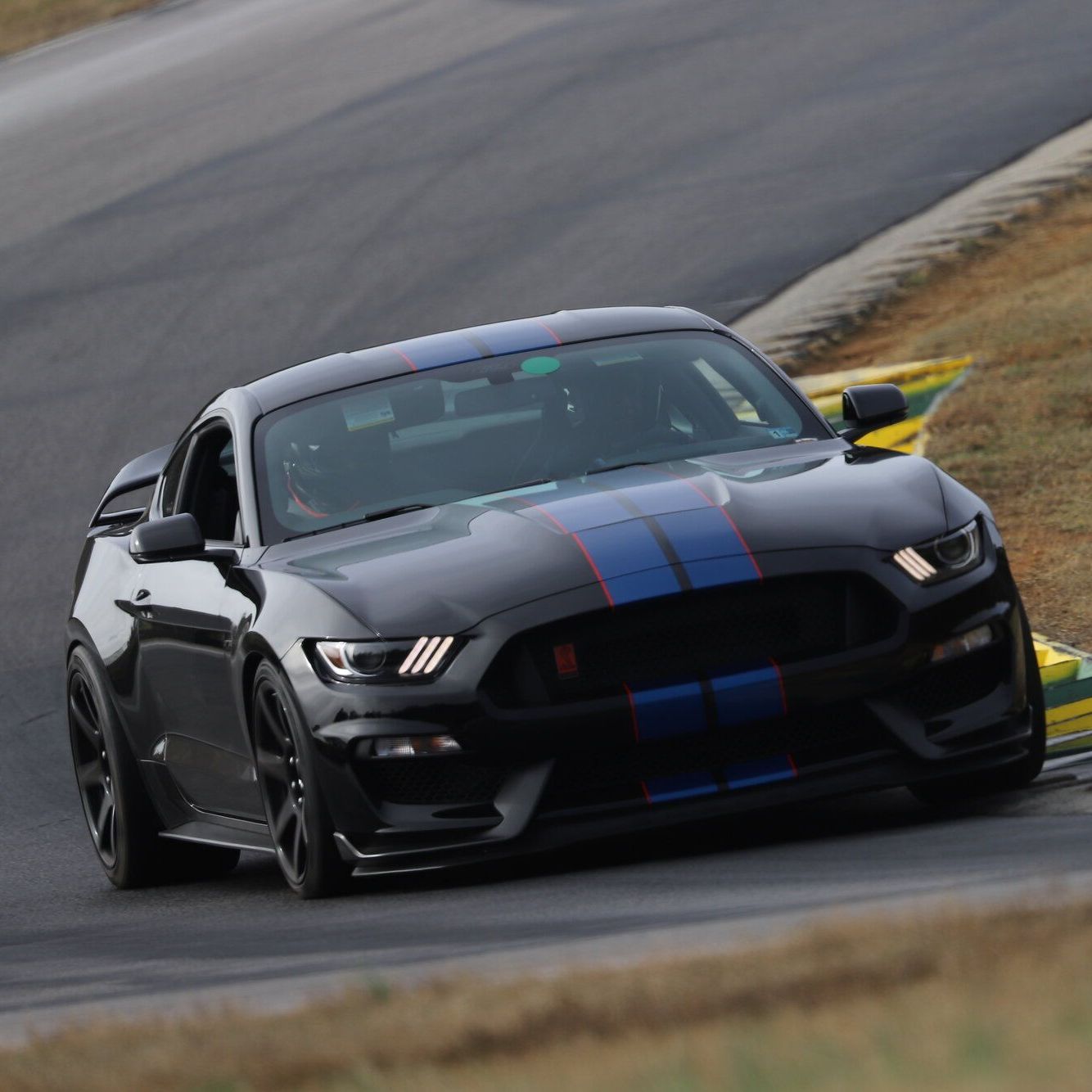 Profile of Duane Gibbs