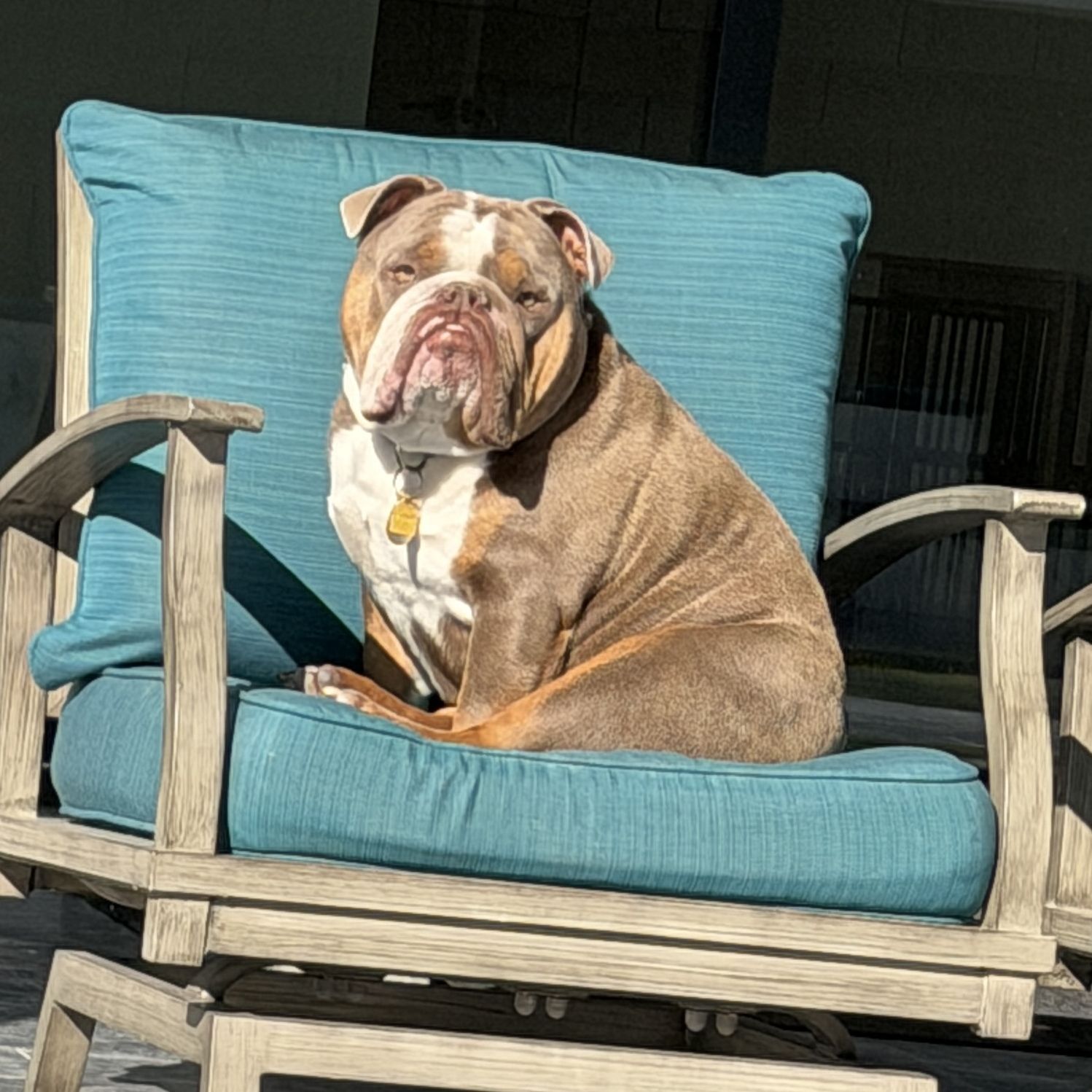 Profile of Waylon Goebel