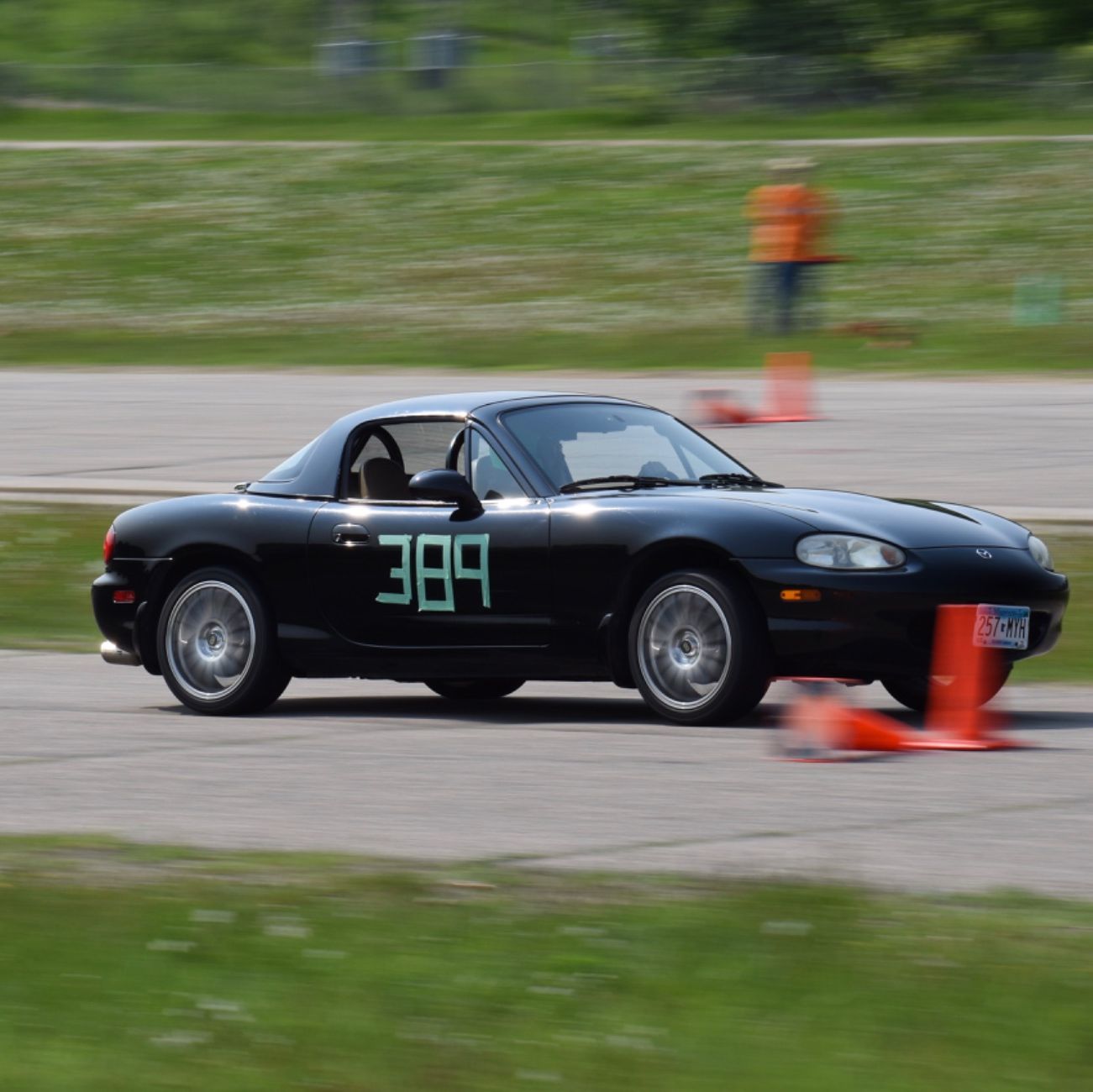 Profile of Philip Novak