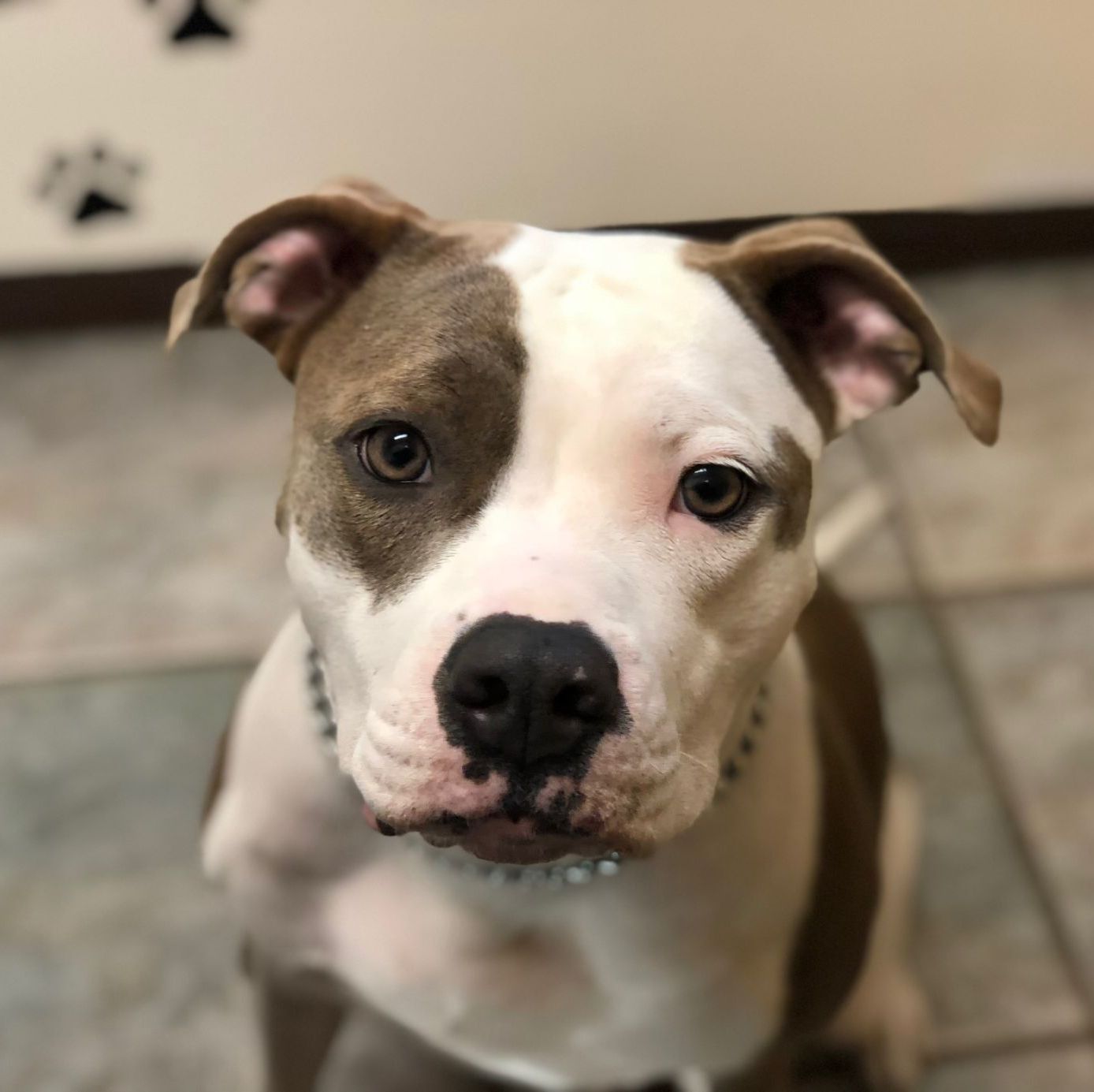 Profile of Eli Bookout